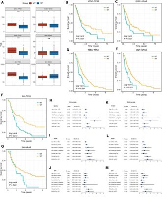 TP53 /KRAS Co-Mutations Create Divergent Prognosis Signatures in Intrahepatic Cholangiocarcinoma